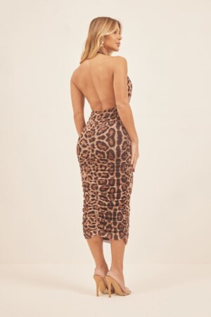 Closet - Vestido Midi Tule Onça